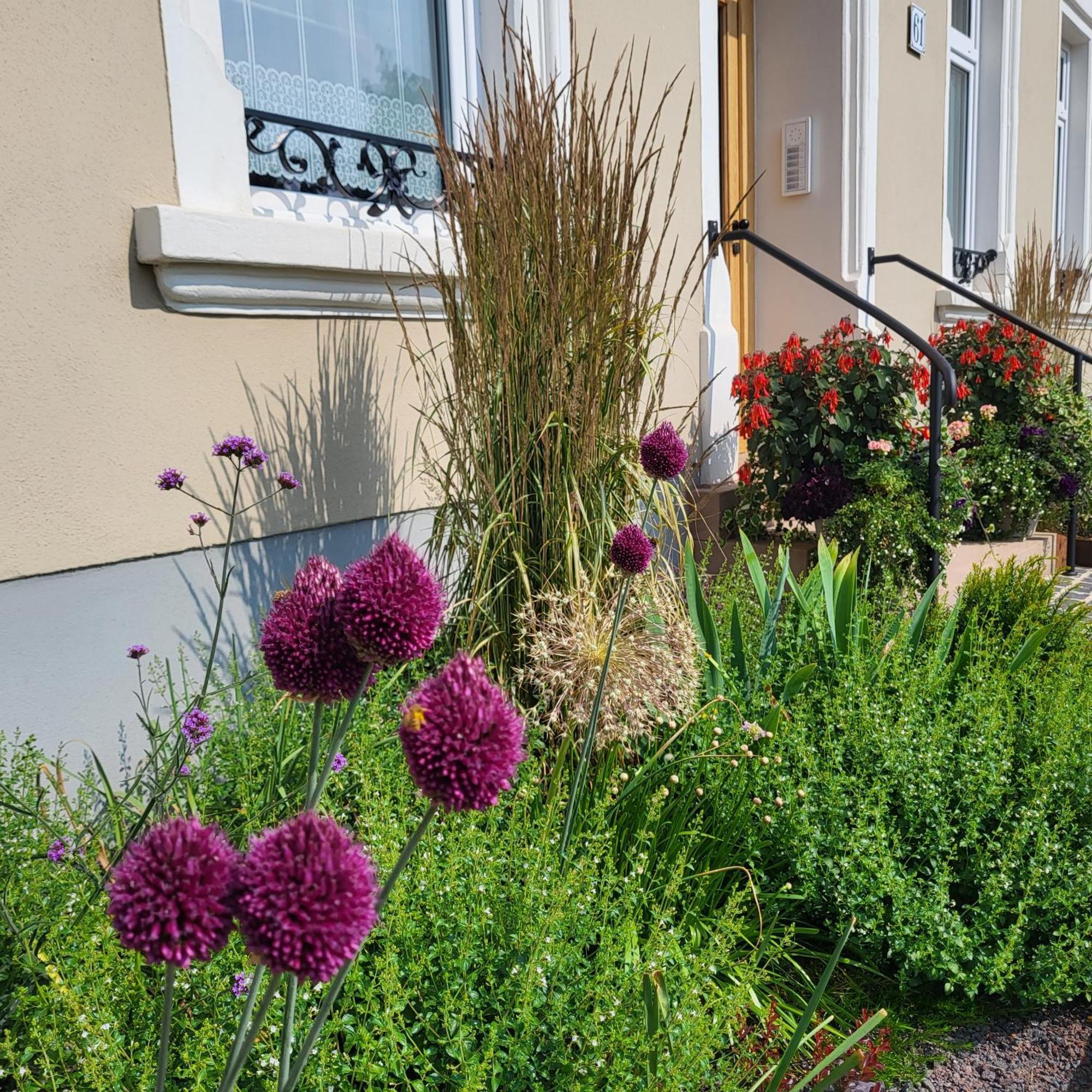 Komfort Ferienwohnungen Mit Wellness-Garten - Gaestehaus Am Bachlauf - Losheim Am See Екстериор снимка