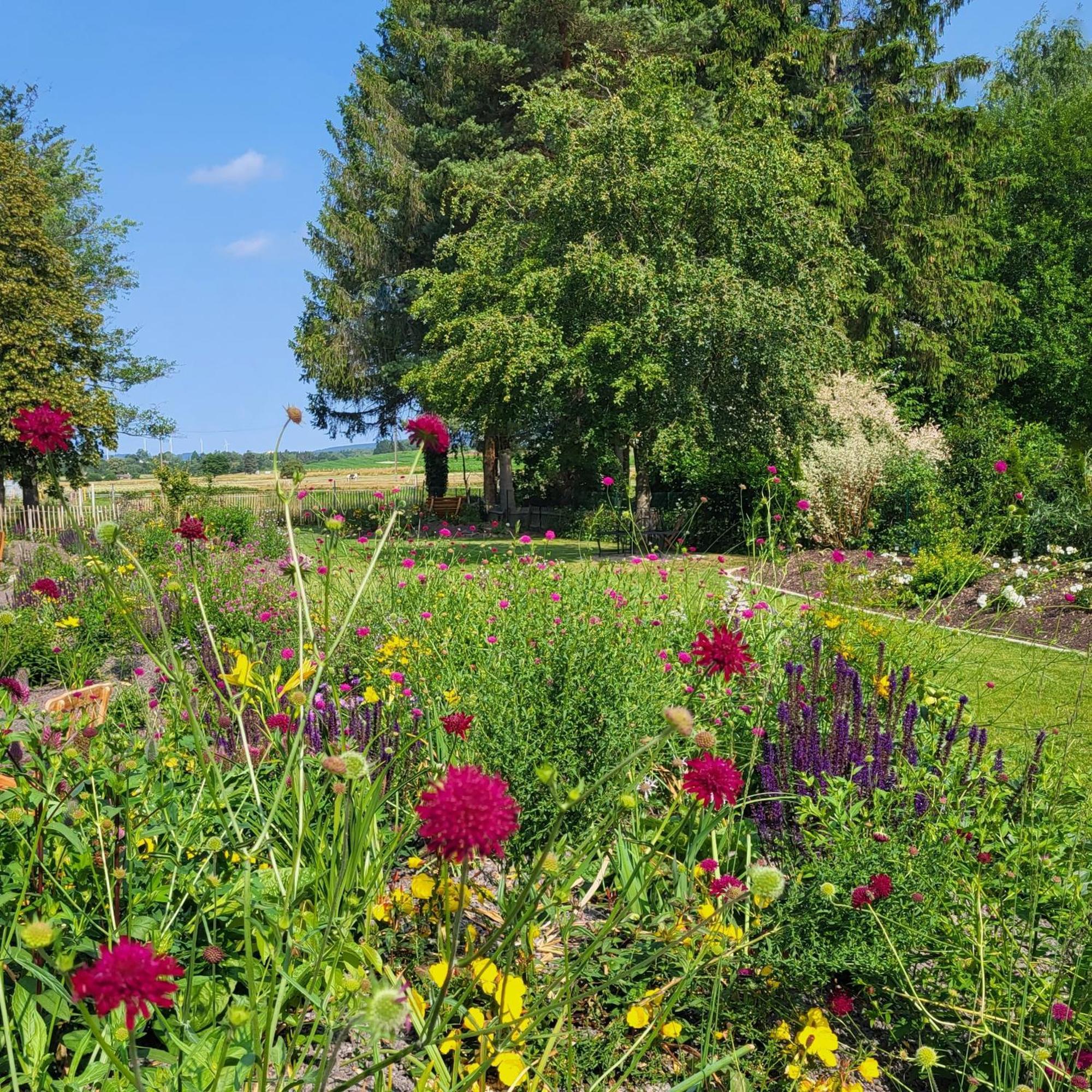 Komfort Ferienwohnungen Mit Wellness-Garten - Gaestehaus Am Bachlauf - Losheim Am See Екстериор снимка