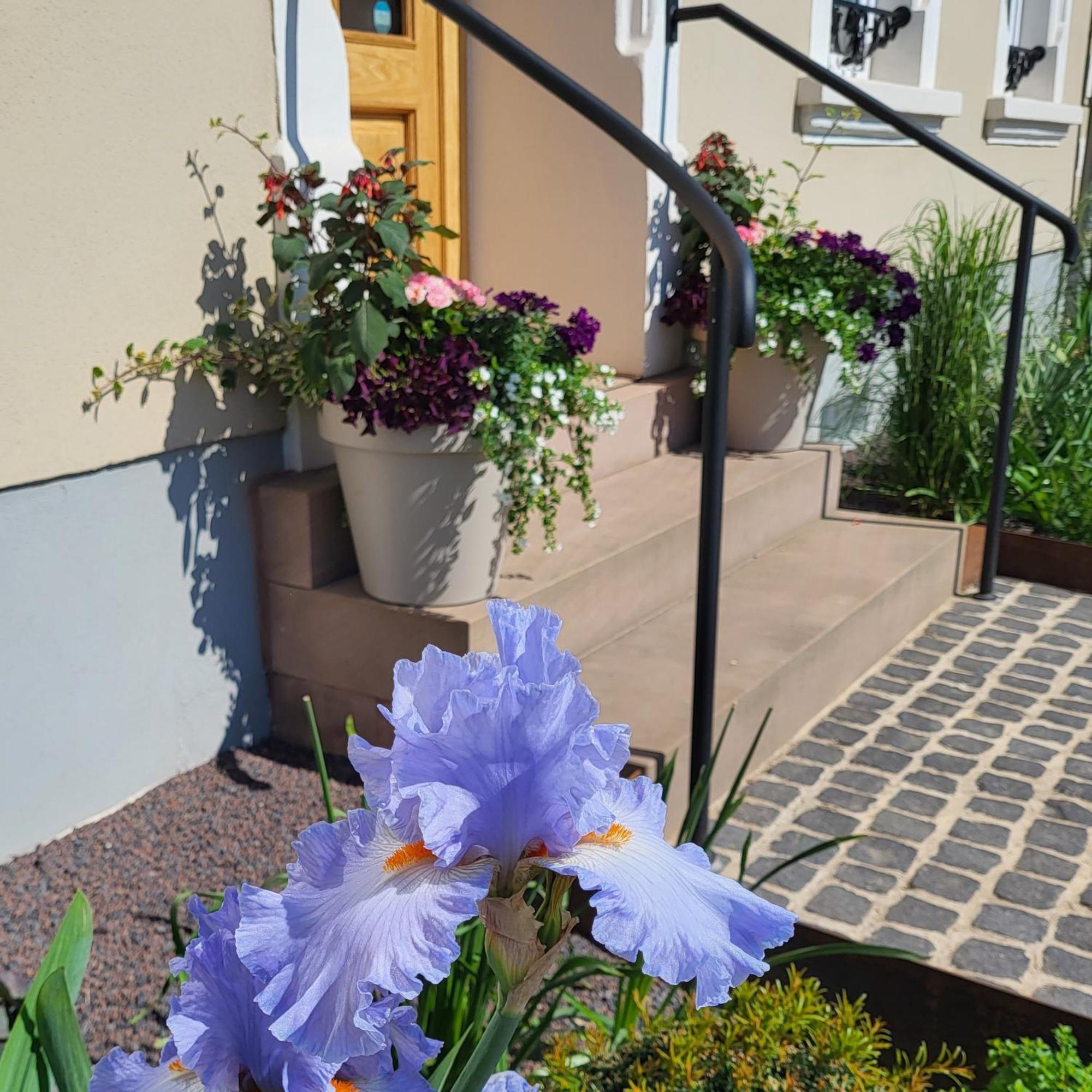 Komfort Ferienwohnungen Mit Wellness-Garten - Gaestehaus Am Bachlauf - Losheim Am See Стая снимка