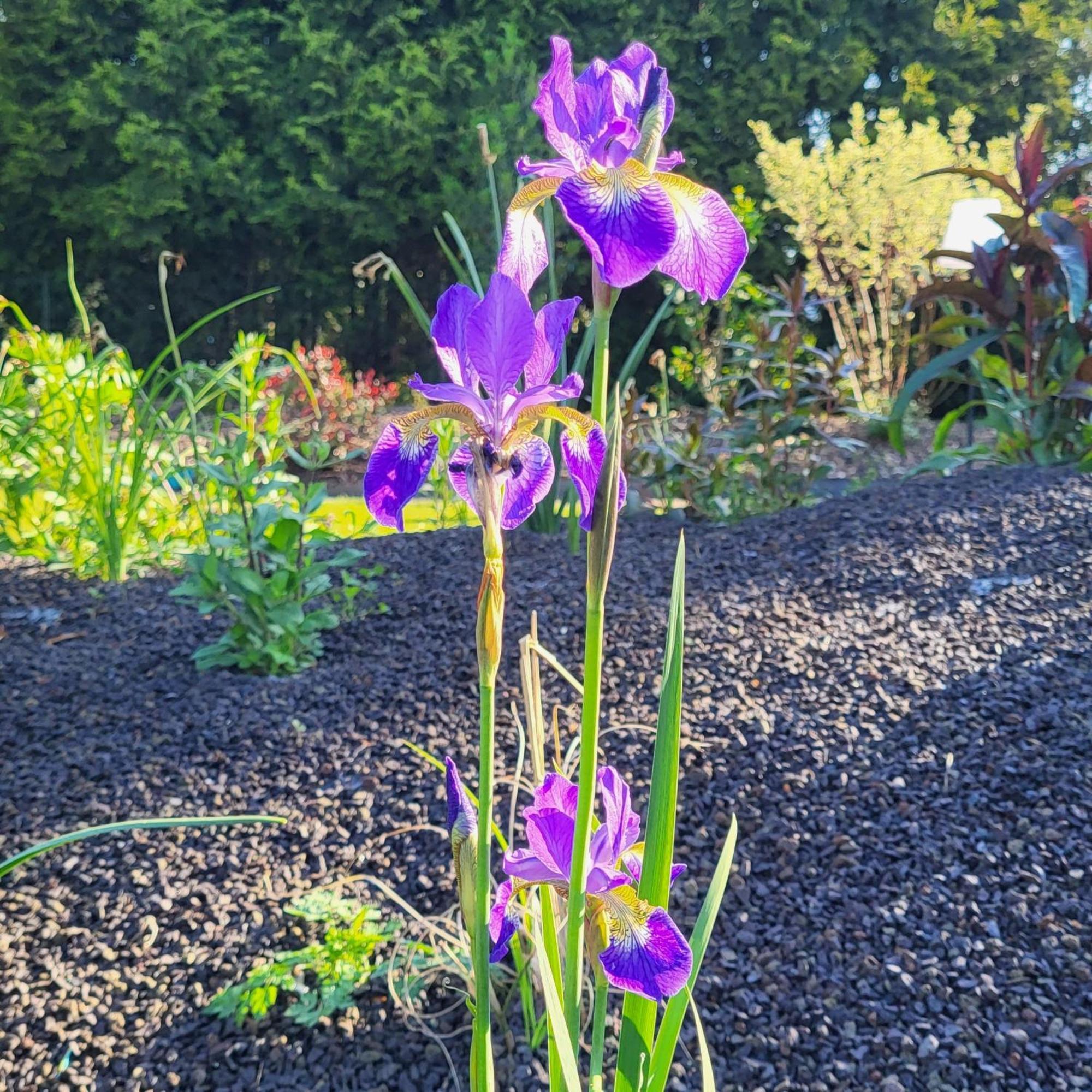 Komfort Ferienwohnungen Mit Wellness-Garten - Gaestehaus Am Bachlauf - Losheim Am See Стая снимка